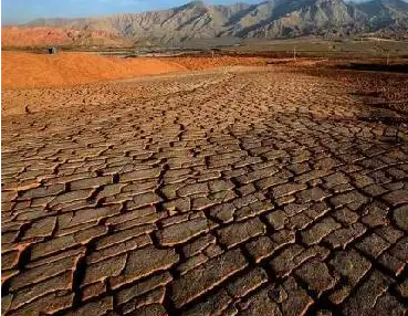 酸性土壤如何改良？
