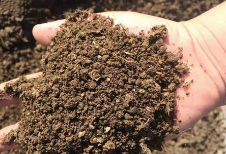 如何分析土壤團(tuán)粒結(jié)構(gòu)，土壤團(tuán)粒結(jié)構(gòu)分析方法