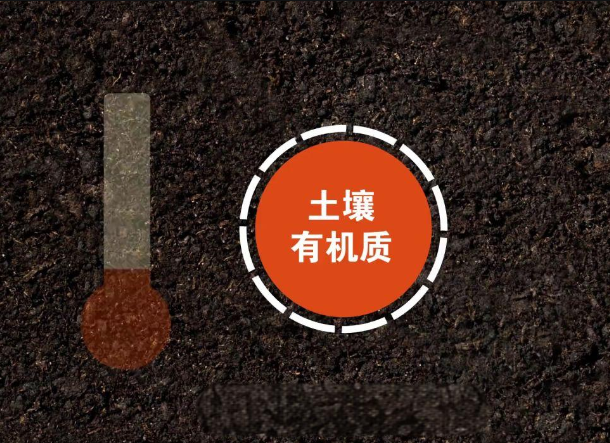 測(cè)定土壤有機(jī)質(zhì)需要注意哪些問(wèn)題